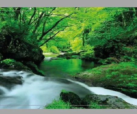 El Bosque Encantado Vendégház *