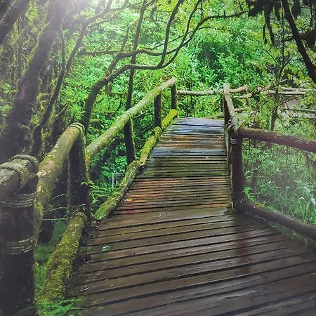 El Bosque Encantado Guest house *